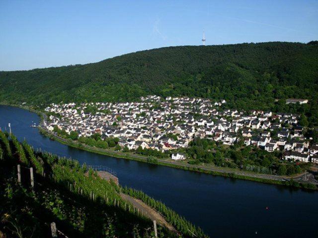 Gerae Umige Ferienwohnung In Lay Am Moselhang Koblenz  Exterior photo