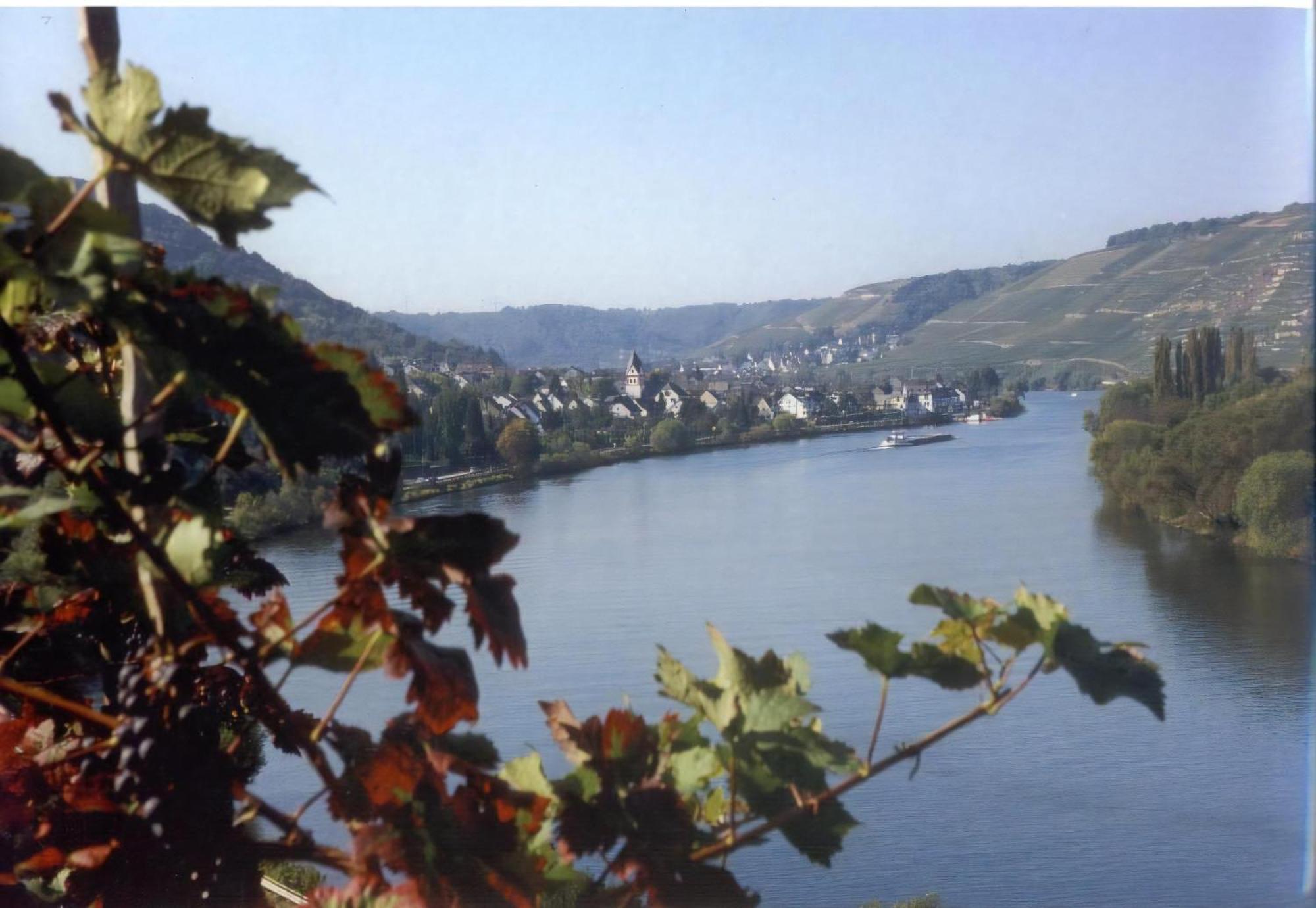 Gerae Umige Ferienwohnung In Lay Am Moselhang Koblenz  Exterior photo